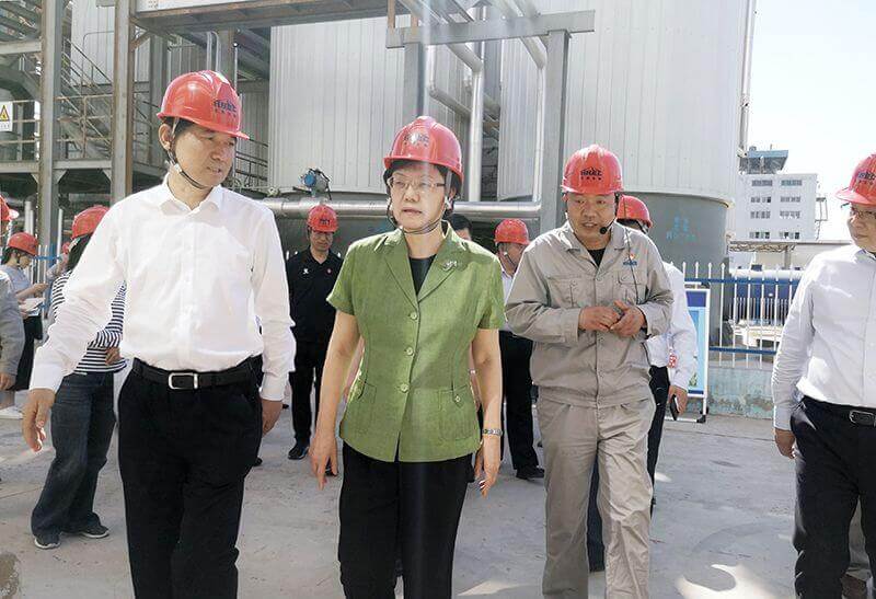 2019年5月23日，全国政协副主席李斌（左二）到中原大化调研
