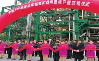2000-2005年，采用意大利欧技工艺技术，相继建成了三套三聚氰胺生产装置，年产能5.4万吨